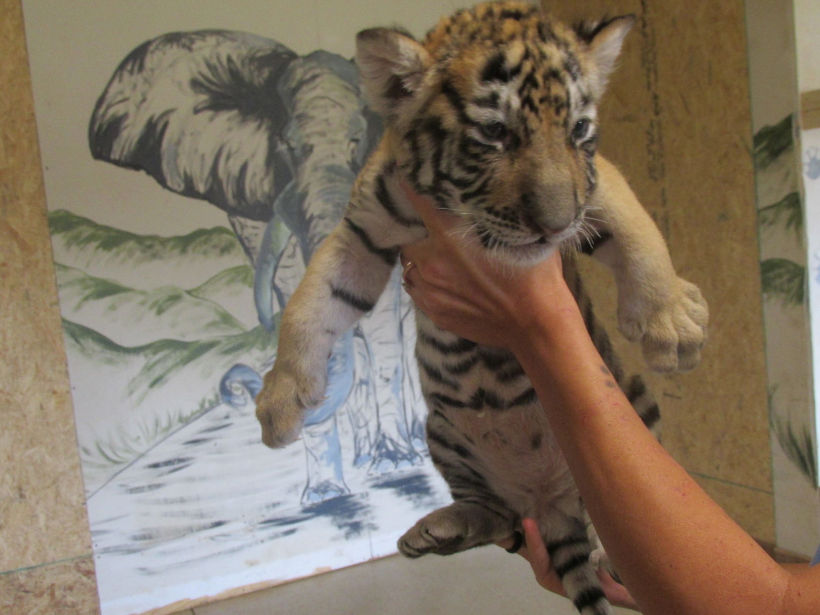 Zootastic (19).JPG